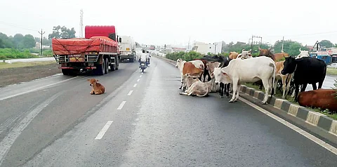 पुणे-सोलापूर राष्ट्रीय महामार्ग ठरतोय जीवघेणा; अपघातांचे सत्र थांबेना