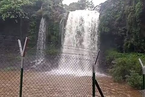 सातारा : ठोसेघर धबधबा फेसाळला!, हिरवे- हिरवे गार गालिचे जिकडे- तिकडे चोहीकडे!