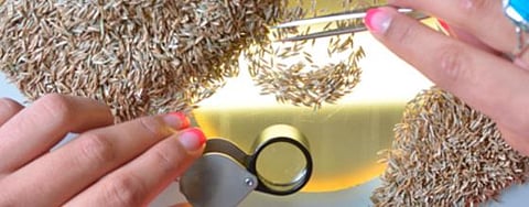 पुणे : प्रयोगशाळांच्या नमुना तपासणी अहवालानंतर कारवाई