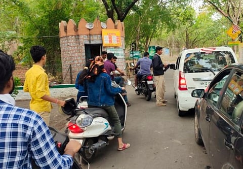 पुणे : सिंहगडावर मधमाश्यांच्या हल्ल्यात 8 जण जखमी