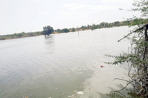 Ashadhi wari 2023 : पालखी सोहळ्यासाठी ‘शिरसाई’ला आवर्तन