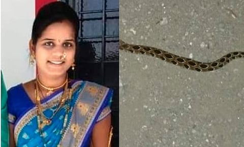 ओतूर : घोणस जातीच्या सर्पाचा महिलेस दंश; लसीच्या तुटवड्यामुळे रुग्णाची हेळसांड