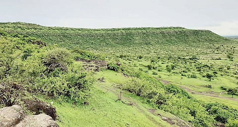 रूईछत्तीशी : वनराईकडे पर्यटकांनी फिरविली पाठ