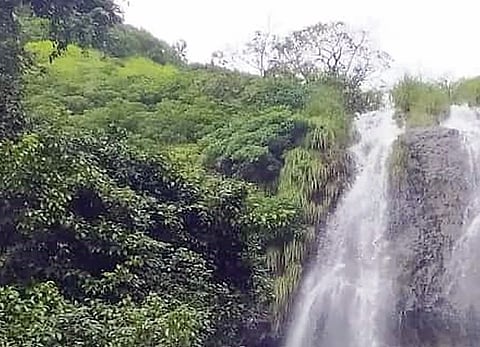 तळेगाव दाभाडे : पावसाच्या रिपरिपीने धबधबे खळाळू लागले