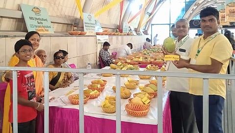 ‘Delhi Haat’ Mango Exhibition: दत्तात्रय घाडगे यांनी पिकविलेला ‘शरद’ आंबा ठरला आकर्षणाचा केंद्रबिंदू
