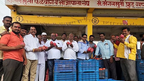 सांगली: आटपाडी सौदे बाजारात डाळिंबासह ड्रॅगन फ्रुटची आवक