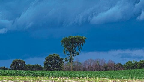 पाऊसमान बदलले, आपण कधी?