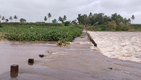 राजापूर बंधारा