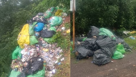 कोल्हापूर : एजीवडे ते दाजीपूर रस्त्यावर जैव वैद्यकीय कचरा; ग्रामस्थांची संतप्त प्रतिक्रिया