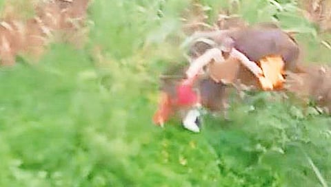 काेल्हापूर : गव्याला हुसकावणे आले अंगलट