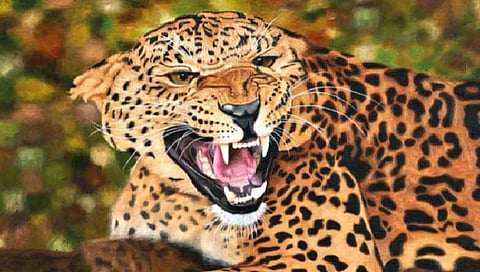 Leopard Attack : दिंडोरीत बिबट्याचा मेंढपाळावर हल्ला