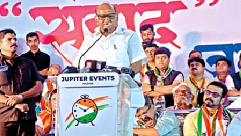 शरद पवार