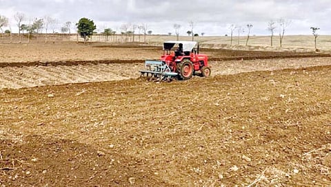 सातारा : पावसाची उघडीप; जिल्ह्यात खरीप धोक्यात