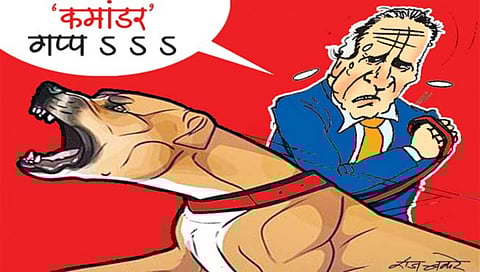 लवंगी मिरची : राष्ट्राध्यक्षांचे श्वान