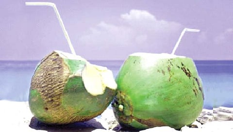 सर्वच ऋतूंमध्ये प्या नारळपाणी, ‘या’ समस्यांपासून मिळतो आराम