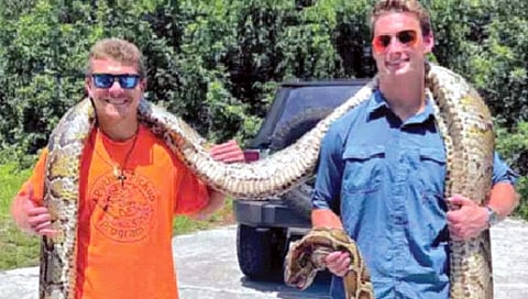 22 वर्षांच्या विद्यार्थ्याने पकडला सर्वात मोठा अजगर