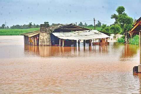 पंचगंगेची वाटचाल धोका पातळीकडे; राधानगरी धरण 91 टक्के भरले, बालिंगा पुलावरील वाहतूक बंद