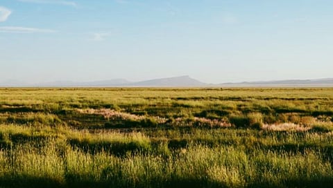 कृषी दिन विशेष : गोवा राज्यात १३,३०० हेक्टर जमीन पडीक