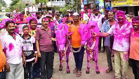 सर्जा-राजाच्या उत्सवात गडहिंग्लज शहर दुमदुमले; पाटील, डोमणे, नाईक यांच्या बैलजोड्या अव्वल |