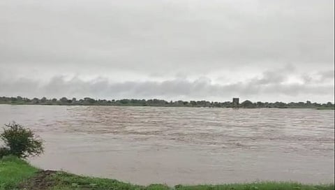 चंद्रपूर : धानोरा आर्वी पुल पाण्याखाली; नऊ गावांचा संपर्क तुटला