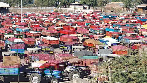 Nashik : लासलगावी यंदा उन्हाळ कांद्याची विक्रमी आवक