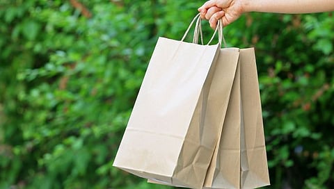 Paper Bag Day 2023 : प्लास्टिक बॅगला टाळून कागदी बॅग वापरूया..!