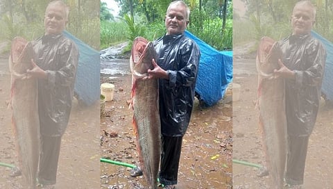 Big Fish : पन्हाळा तालुक्यातील कासारी नदी पात्रात सापडला २० किलोचा मासा
