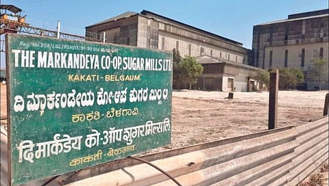 बेळगाव : ‘मार्कंडेय’ची निवडणूक 27 ऑगस्ट रोजी होणार