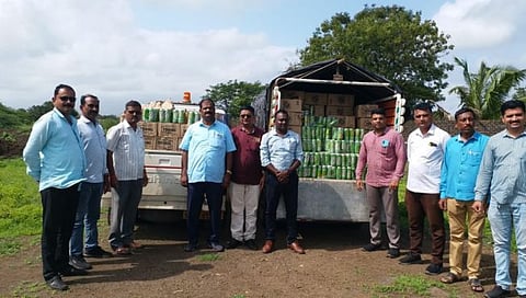 नंदुरबार : नवापाडा गावात 10 लाखांचा अवैध मद्यसाठा जप्त