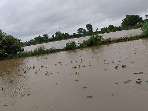 हिंगोली : गोरेगाव परिसरात नदी ओढ्याला पूर