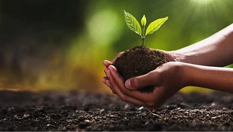 सांगली : जिल्ह्यात 10 हजार हेक्टरमध्ये नैसर्गिक शेती