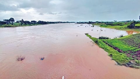 सांगली : कृष्णा, वारणाकाठी पुराचा धोका