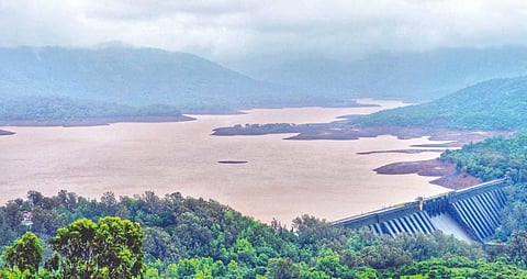 कोयना धरण परिसरात पावसाचा जोर ओसरला