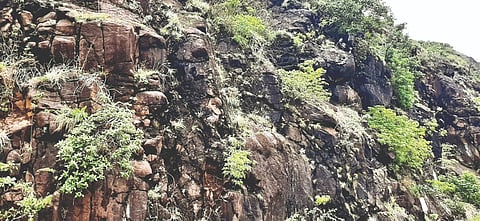 कोकणातील 7 जिल्ह्यांत 613 गावे दरडप्रवण!