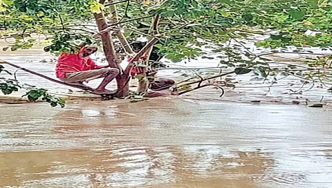 मुसळधार सुरूच; दोन दिवसांत 60 मृत्युमुखी