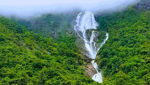 Dudhsagar Falls : दूधसागरला बोगस गाईडचा विळखा