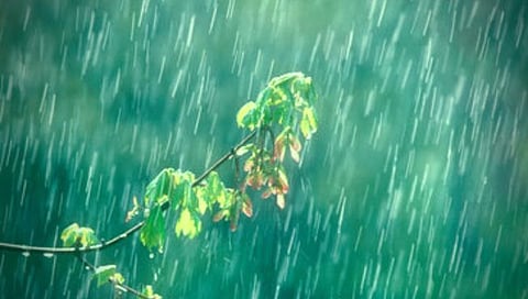 Rain update : पावसाचे पुन्हा बरसो रे ! याठिकाणी गुरुवारपर्यंत मुसळधार