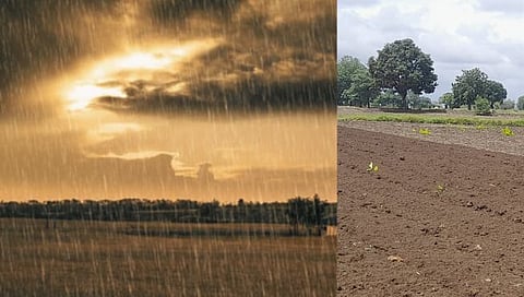 हिंगोली : लांबलेल्या पावसाची अखेर जुलैमध्ये हजेरी; शेतकरी सुखावला | Hingoli Rainy Season