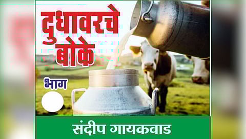 सोलापूर : दुधातील सहकार संपविण्यावर उपनिबंधकांनी ठेवले ‘लक्ष’