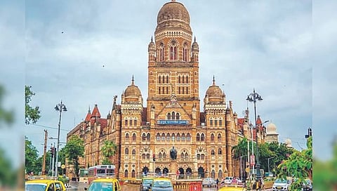 मुंबई : महापालिकेत अभियंत्यांची भरती रखडली!