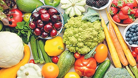 राज्यात फळांच्या निर्यातीला चालना मिळणार