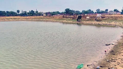 सोलापूर : पाणी साठवण क्षमता वाढणार; 19 गावांचा समावेश