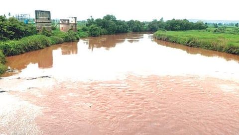 सांगली : जिल्ह्यात संततधार, वारणेची पातळी वाढली