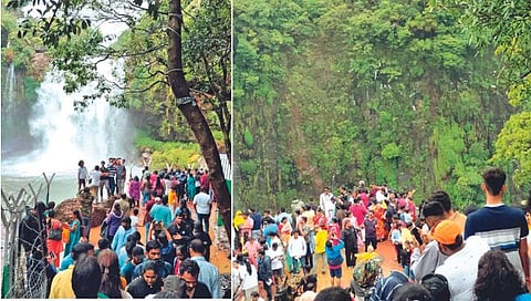 सातारा : धबधबा परिसर पुन्हा धोकादायक