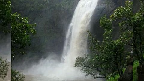 वर्षा पर्यटनाची मौज नडली; तीन जिल्ह्यांत सात पर्यटकांचा बुडून मृत्यू