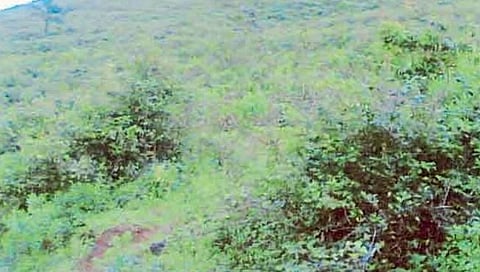 कोल्हापूर : ‘शाहूवाडी’त डोंगर पायथ्यालगतच्या ‘गावात धास्ती…!