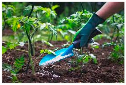 पुणे : निविष्ठांची किंमत, साठेबाजी, लिंकिंगला बसणार चाप