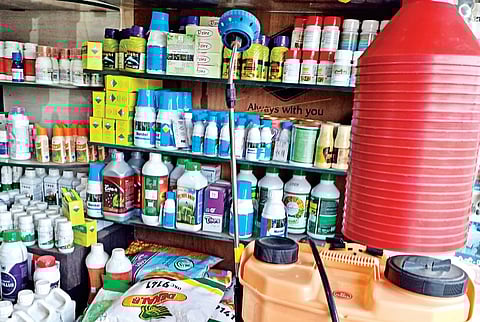 इंदापूर तालुक्यात शेतकर्यांची कृषिसेवा केंद्रांकडे पाठ