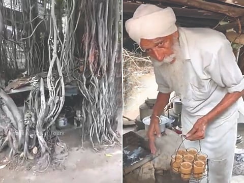 वडाच्या झाडात चहाचे दुकान!