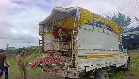बीड: भाविकांच्या वाहनाला बसची धडक; २ महिला ठार, २३ जण जखमी